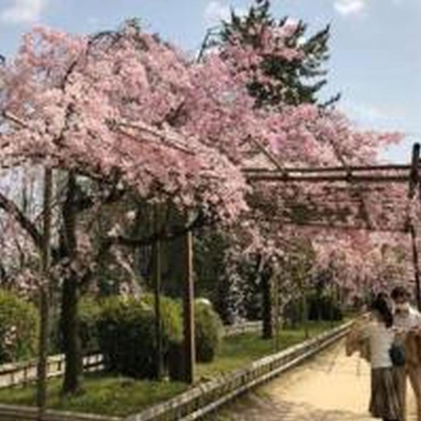 Apartamento むつみ庵此花601 Osaka Exterior foto